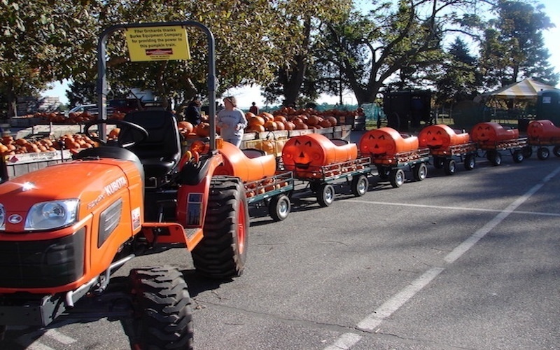 Fifer Farms Fall Festival